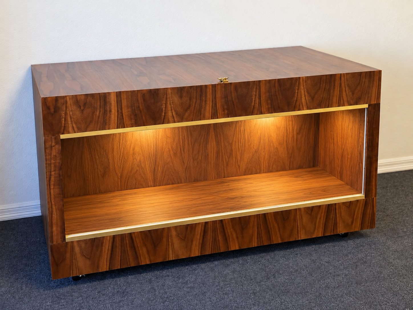 Walnut wood reptile enclosure with brass framed trim and warm integrated interior lighting over an off-white wall