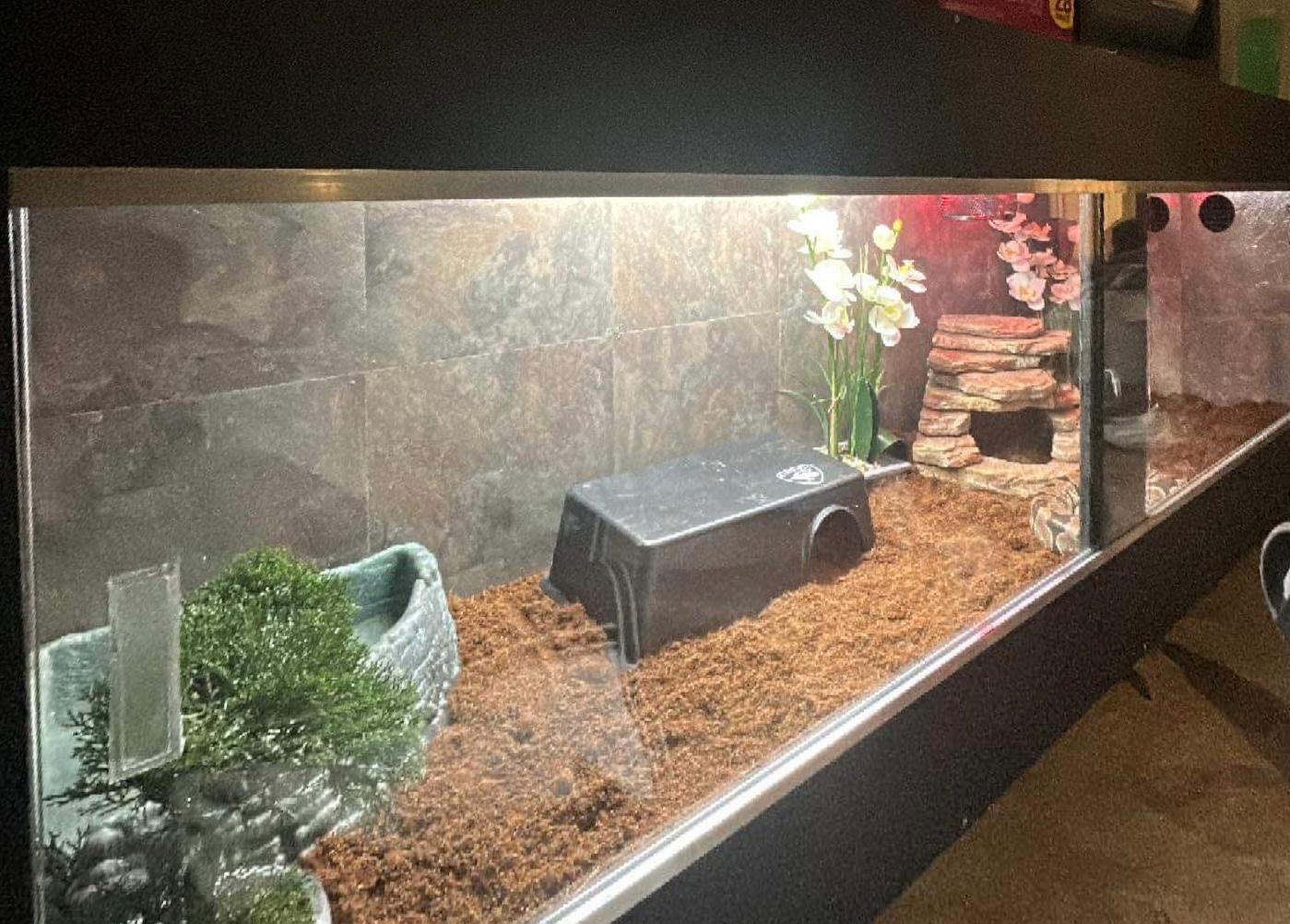 Wide custom reptile enclosure with sliding glass and natural habitat decor